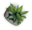 White Stone Book Publishers